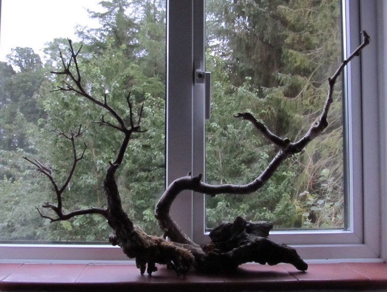 2 pieces of wood joined