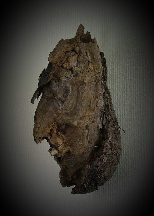 wood spirit head