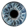 The Eye of the Observer