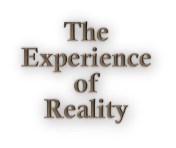 Experience of Reality