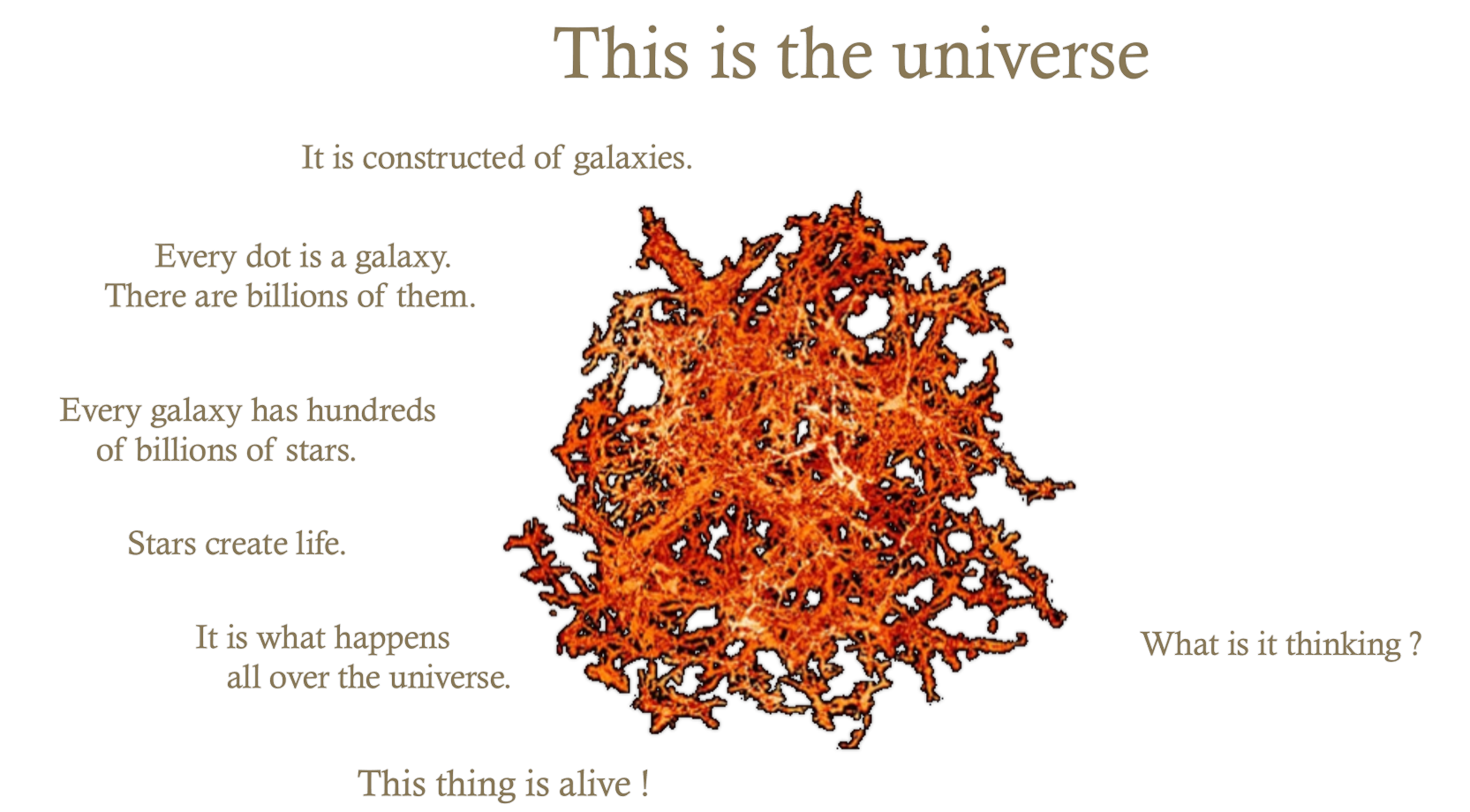 The universe