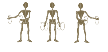 Whyzedinex exercises