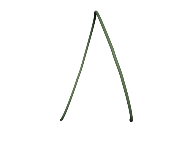 A section of the Aster